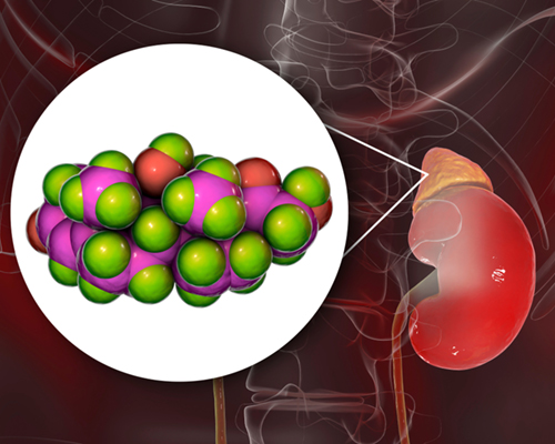 3D illustration of a molecule of cortisol hormone and adrenal gland