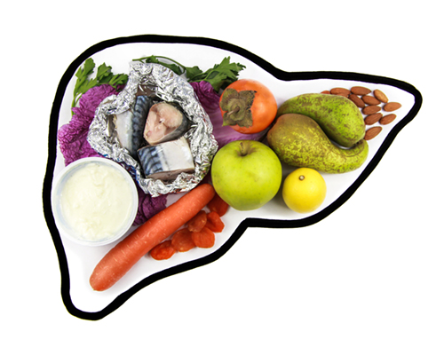 Outline of a liver shaped with healthy food positioned inside